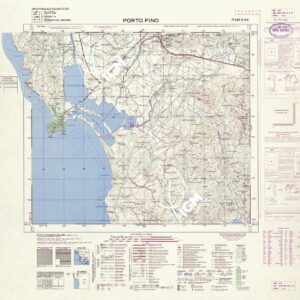239 IV-NE (PORTO PINO) Anno: 1963