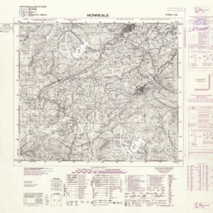 249 II-SO (MONREALE) Anno: 1970