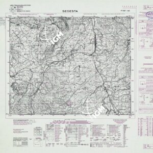 257 I-NE (SEGESTA) Anno: 1969