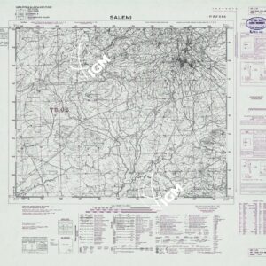 257 II-NO (SALEMI) Anno: 1969