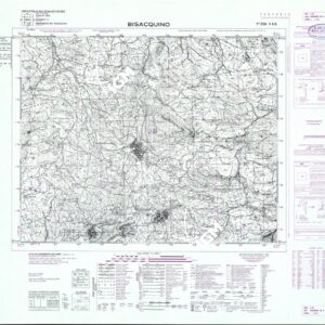 258 II-SO (BISACQUINO) Anno: 1969