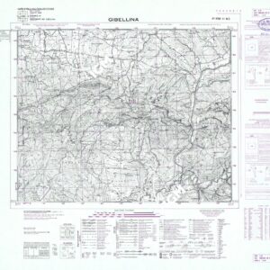 258 III-NO (GIBELLINA) Anno: 1969