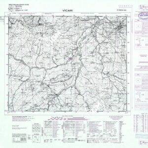 259 III-NO (VICARI) Anno: 1969