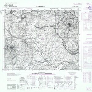 259 IV-SO (CIMINNA) Anno: 1970