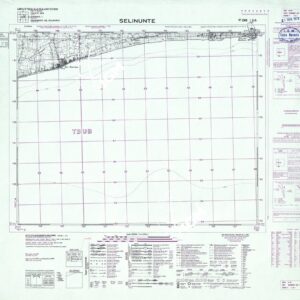 265 I-SO (SELINUNTE) Anno: 1970