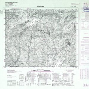 266 I-NE (BIVONA) Anno: 1969