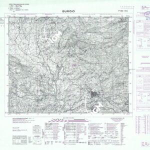 266 I-NO (BURGIO) Anno: 1969