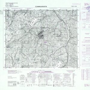 267 IV-NE (CAMMARATA) Anno: 1969