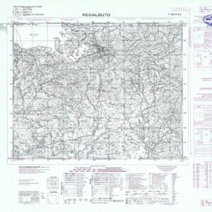 269 IV-NE (REGALBUTO) Anno: 1968