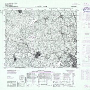 270 IV-SO (MASCALUCIA) Anno: 1969