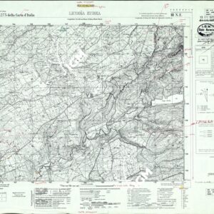 273 III-NE (LICODIA EUBEA) Anno: 1967