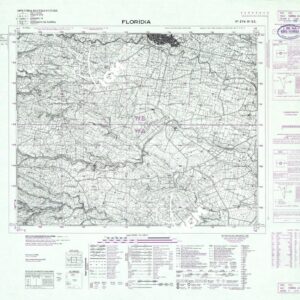 274 III-SE (FLORIDIA) Anno: 1967
