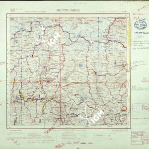 029 (MONTE ROSA ed:limiti) Anno: 1963