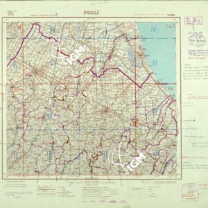 100 (FORLI'ed:limiti) Anno: 1979