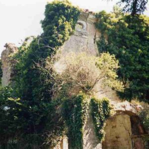 160009 - CASINO TROMBA DI ROSE