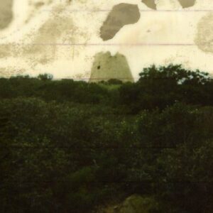 239046 - TORRE DI PISCINNI