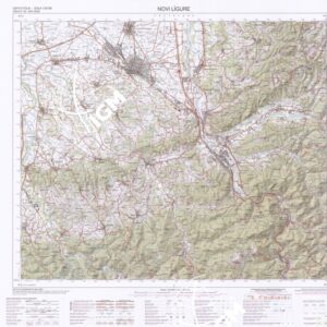 195 (NOVI LIGURE) Anno: 2010