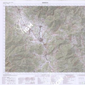 277 (BIBBIENA) Anno: 2013