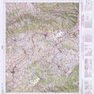 335 (TODI) Anno: 2002