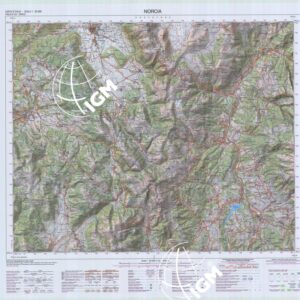 337 (NORCIA) Anno: 2008