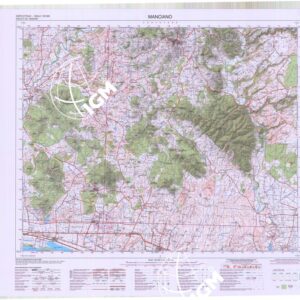 343 (MANCIANO) Anno: 2015