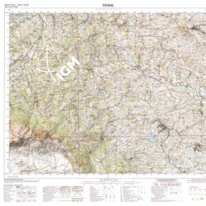 350 (PENNE) Anno: 2018