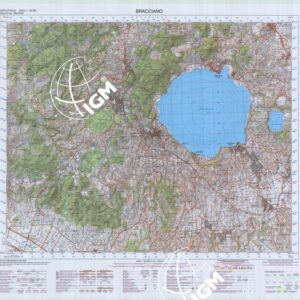 364 (BRACCIANO) Anno: 2008